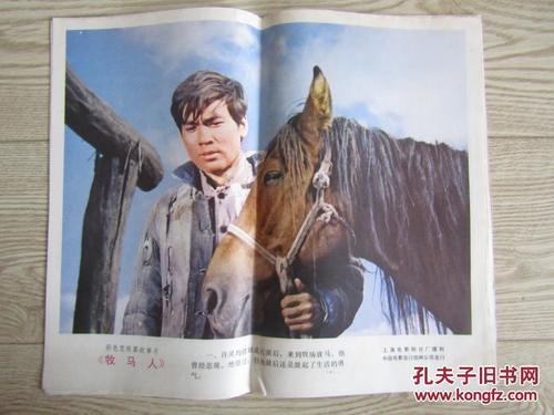 教育部学历证书电子注册备案表照片是什么